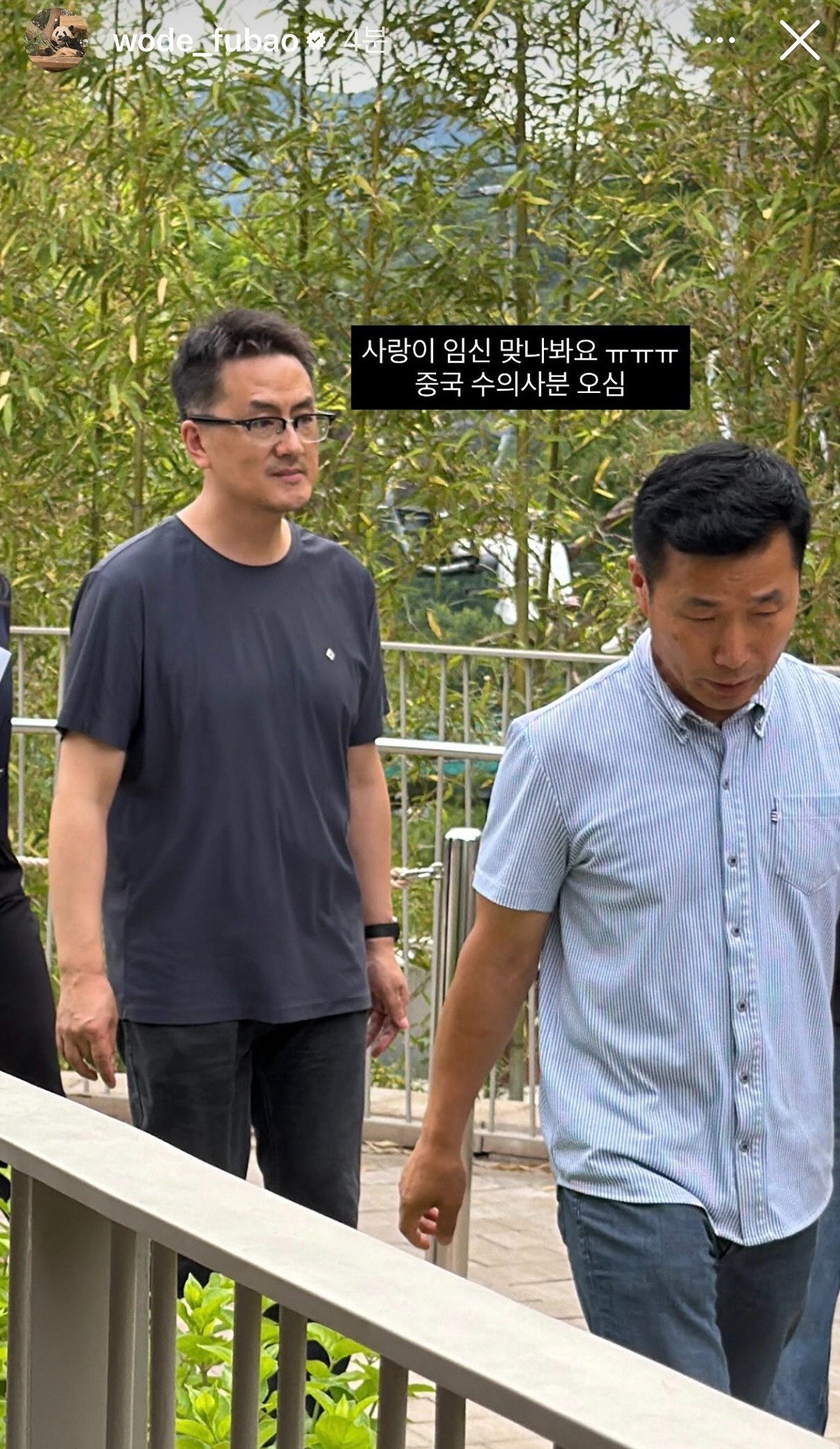 [정보/소식] 아이바오 또 임신 추정된다고 함! | 인스티즈