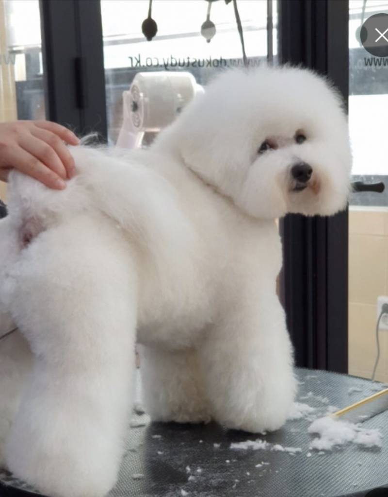 [잡담] 이 사진을 보고 생각나는 단어나 문장이 무엇이냐? | 인스티즈