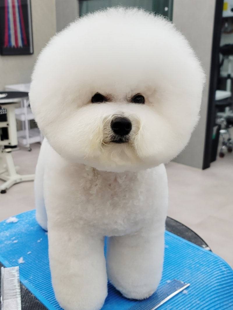 [잡담] 이 사진을 보고 생각나는 단어나 문장이 무엇이냐? | 인스티즈