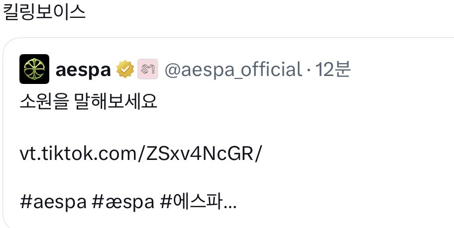 [잡담] 에스파 공계에 다들 진짜 소원 말하는중ㅋㅋㅋㅋㅋㅋㅋ | 인스티즈