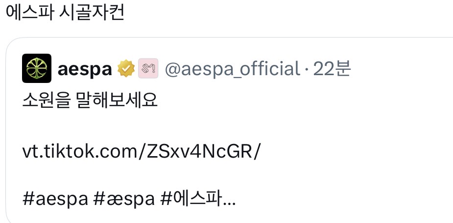 [잡담] 에스파 공계에 다들 진짜 소원 말하는중ㅋㅋㅋㅋㅋㅋㅋ | 인스티즈