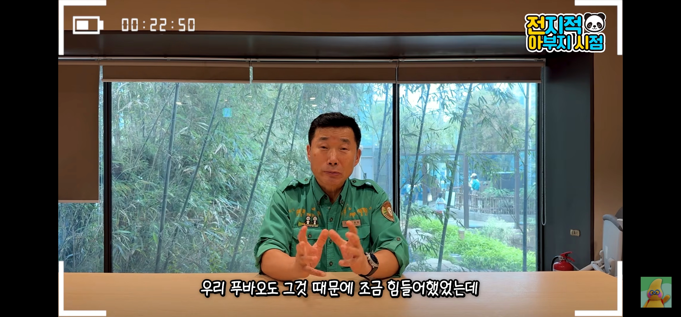 [정보/소식] 루이바오랑 후이바오 올해 겨울쯤에 중국에 보낼 예정인가봐... | 인스티즈