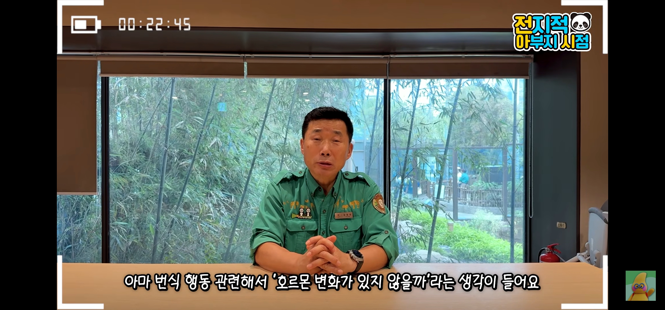 [정보/소식] 루이바오랑 후이바오 올해 겨울쯤에 중국에 보낼 예정인가봐... | 인스티즈