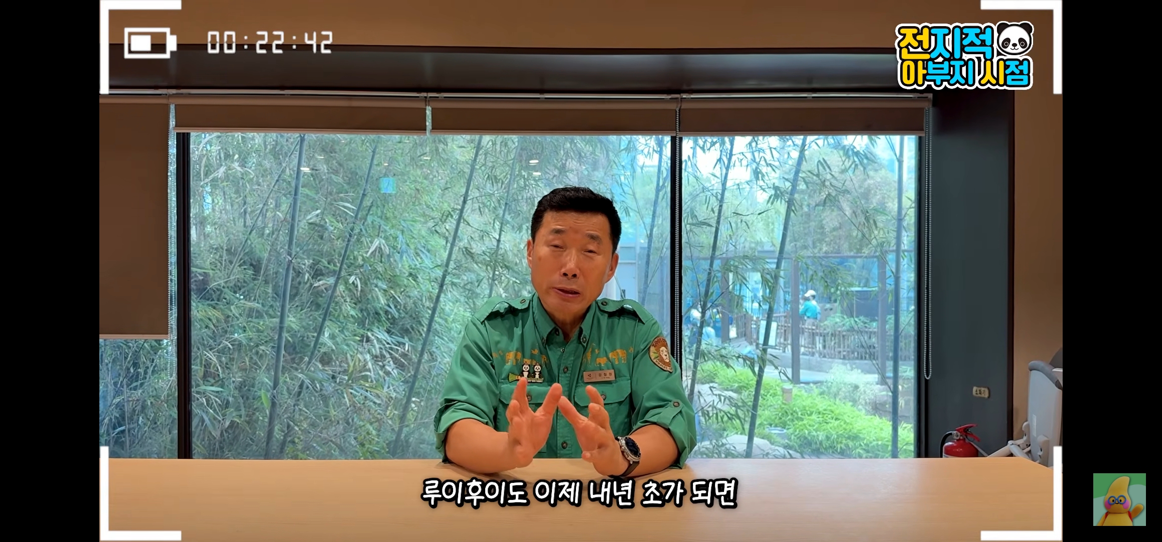 [정보/소식] 루이바오랑 후이바오 올해 겨울쯤에 중국에 보낼 예정인가봐... | 인스티즈