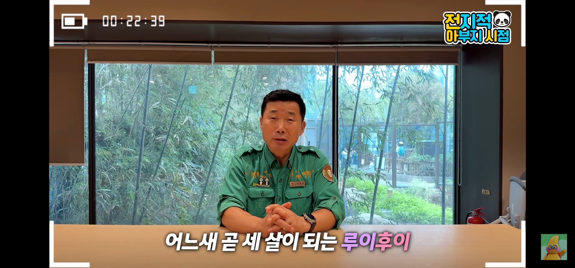 [정보/소식] 루이바오랑 후이바오 올해 겨울쯤에 중국에 보낼 예정인가봐... | 인스티즈