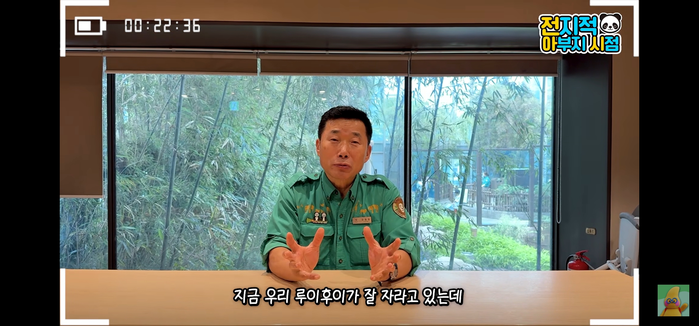 [정보/소식] 루이바오랑 후이바오 올해 겨울쯤에 중국에 보낼 예정인가봐... | 인스티즈