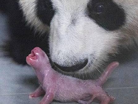 [잡담] | 인스티즈