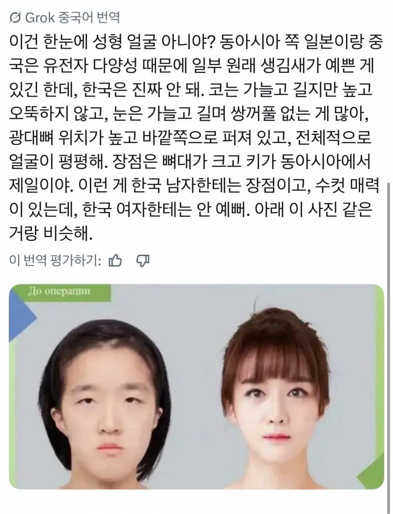 [잡담] 중국인, 일본인이 평가하는 한국인 외모 | 인스티즈