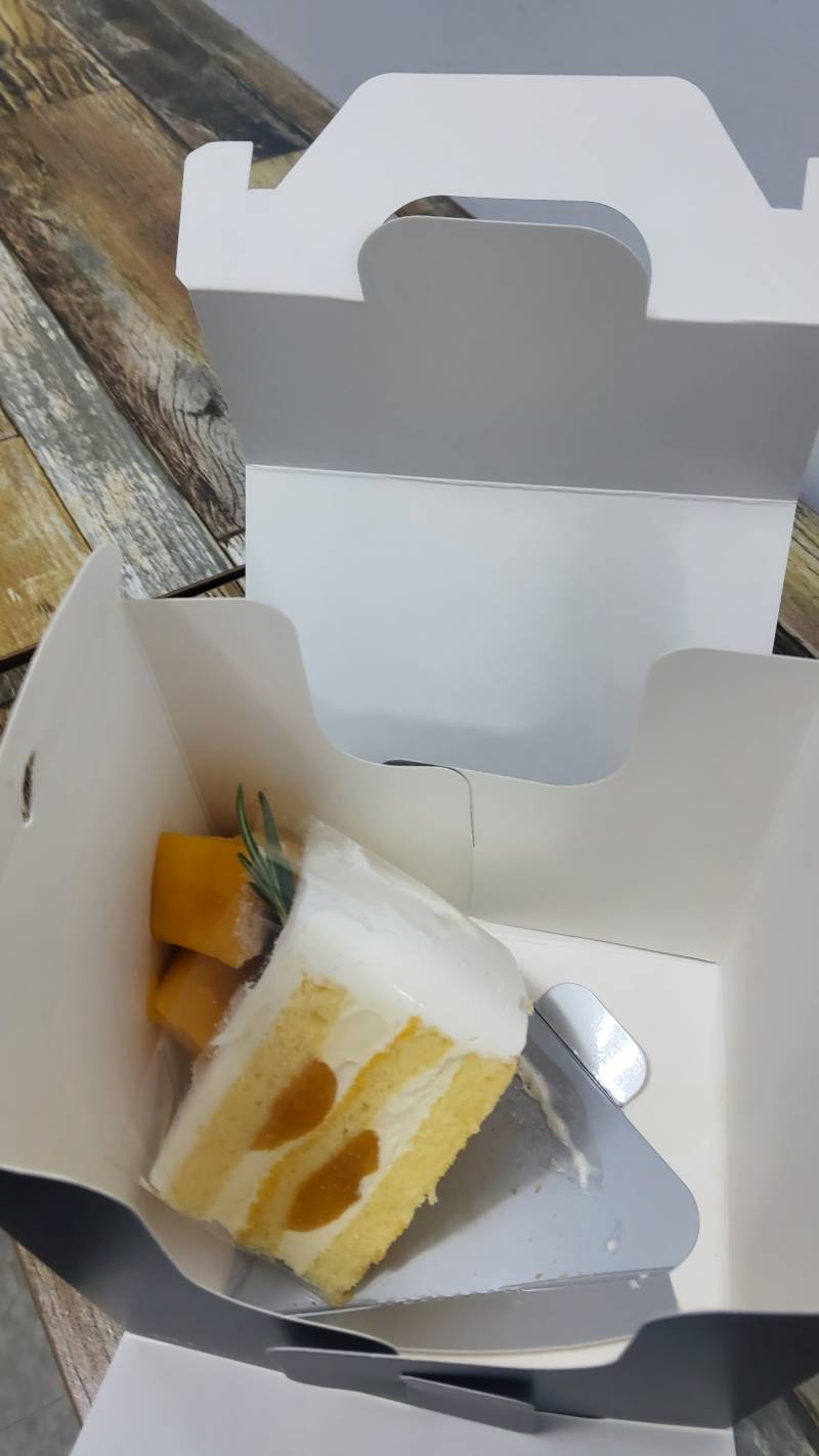 [잡담] 나 투썸 조각 망고생 처음 샀는데 포장 열었더니 이 따위되서 걍 쳐 웃었음 | 인스티즈