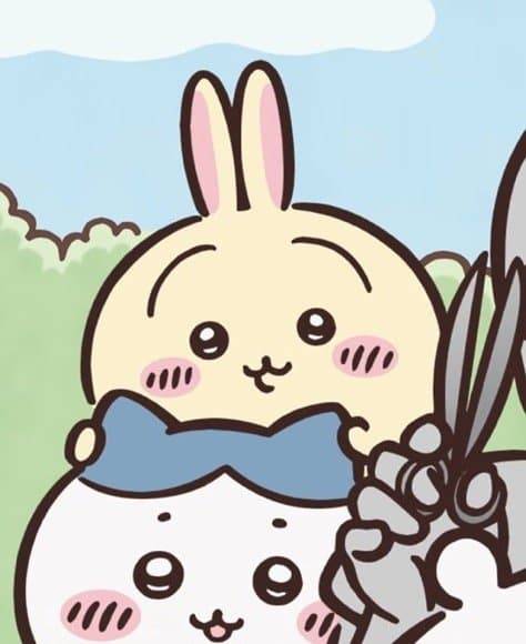 [잡담] 우사기가 하치 귀 잡고 있는거 귀엽다 | 인스티즈