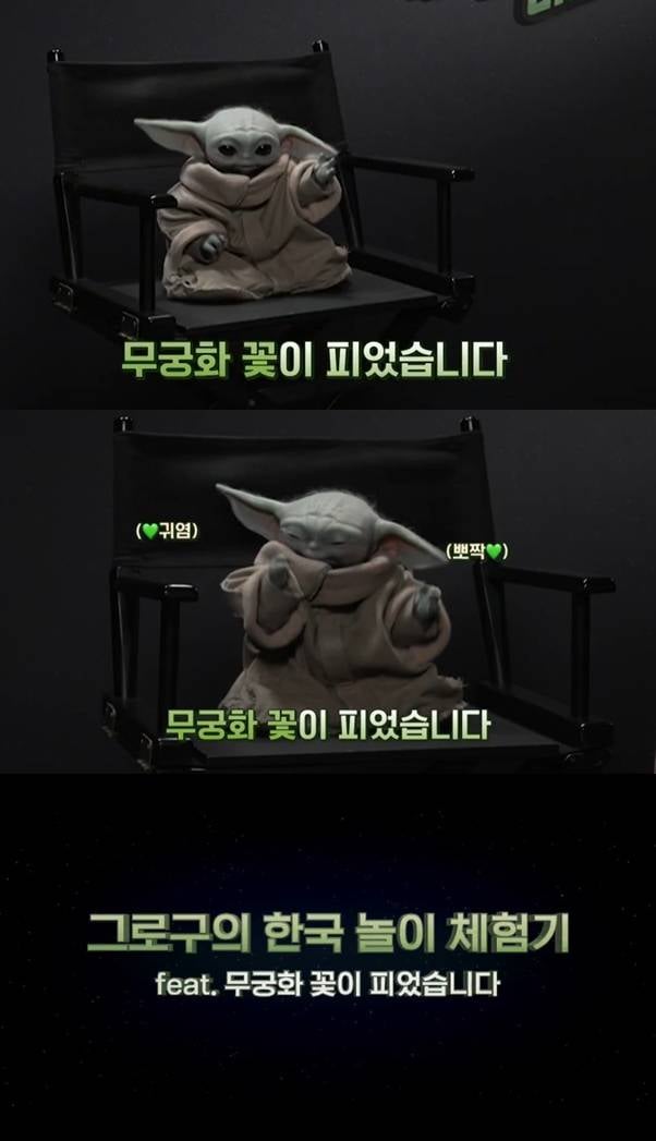 무궁화 꽃이 피었습니다 참여한 역주행 그로구 ㄱㅇㅇ | 인스티즈
