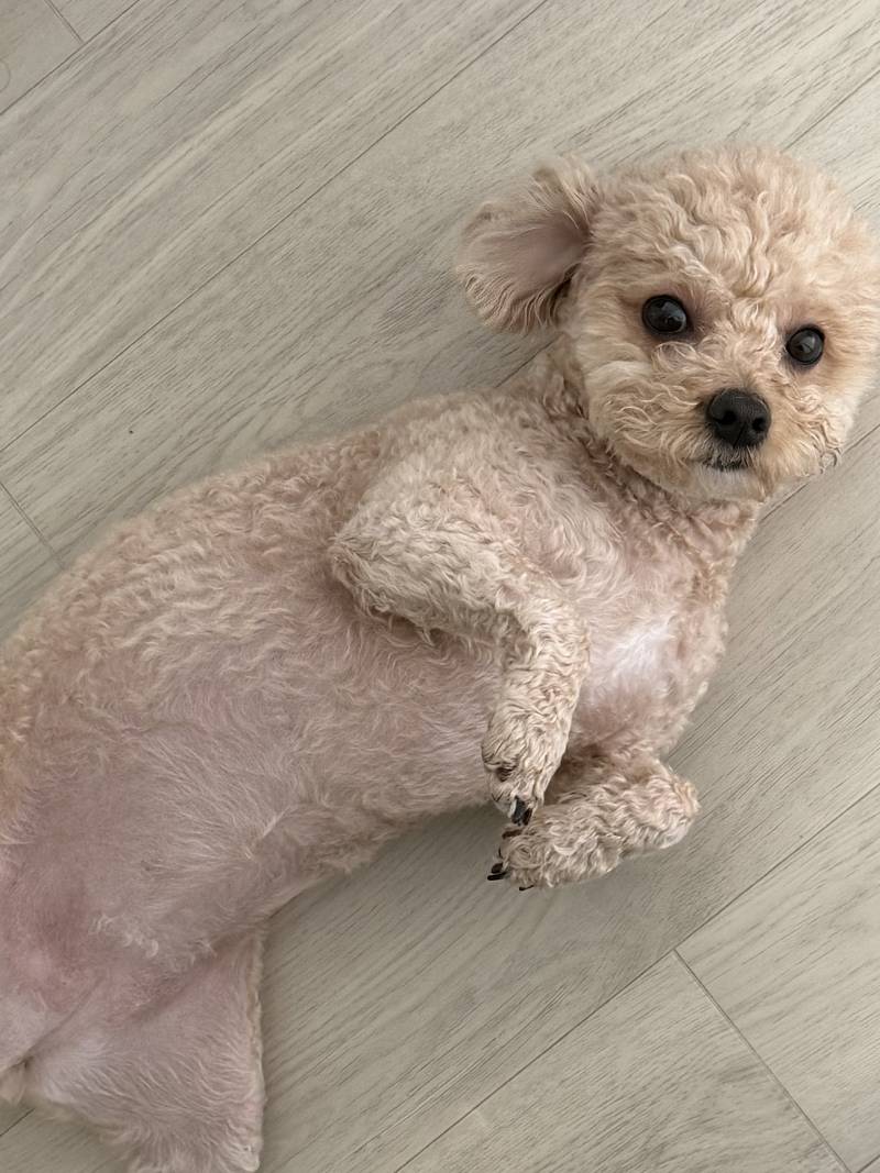 [잡담] 만져주실분 | 인스티즈