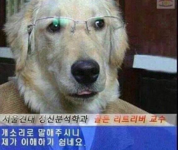 [잡담] 요즘 알바 중 진상을 대할 때 나의 자세는 | 인스티즈