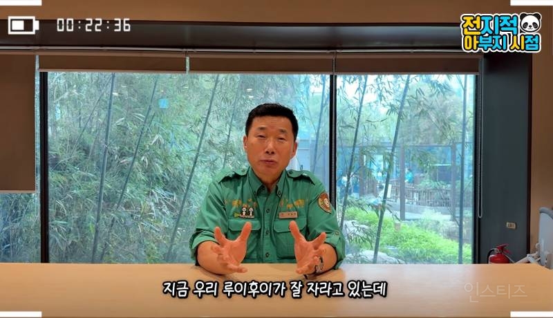루이바오 후이바오 올해 겨울 쯤에 중국에 보낼 예정 | 인스티즈