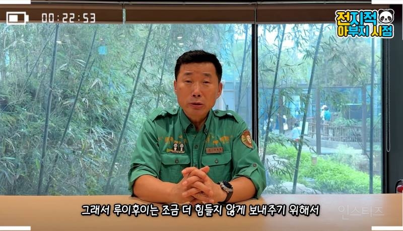 루이바오 후이바오 올해 겨울 쯤에 중국에 보낼 예정 | 인스티즈