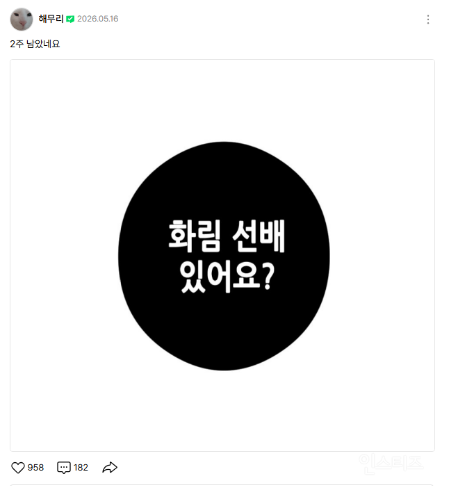 영화 파묘의 웹툰 버전 스핀오프 '맹종' (화림봉길 첫만남) | 인스티즈
