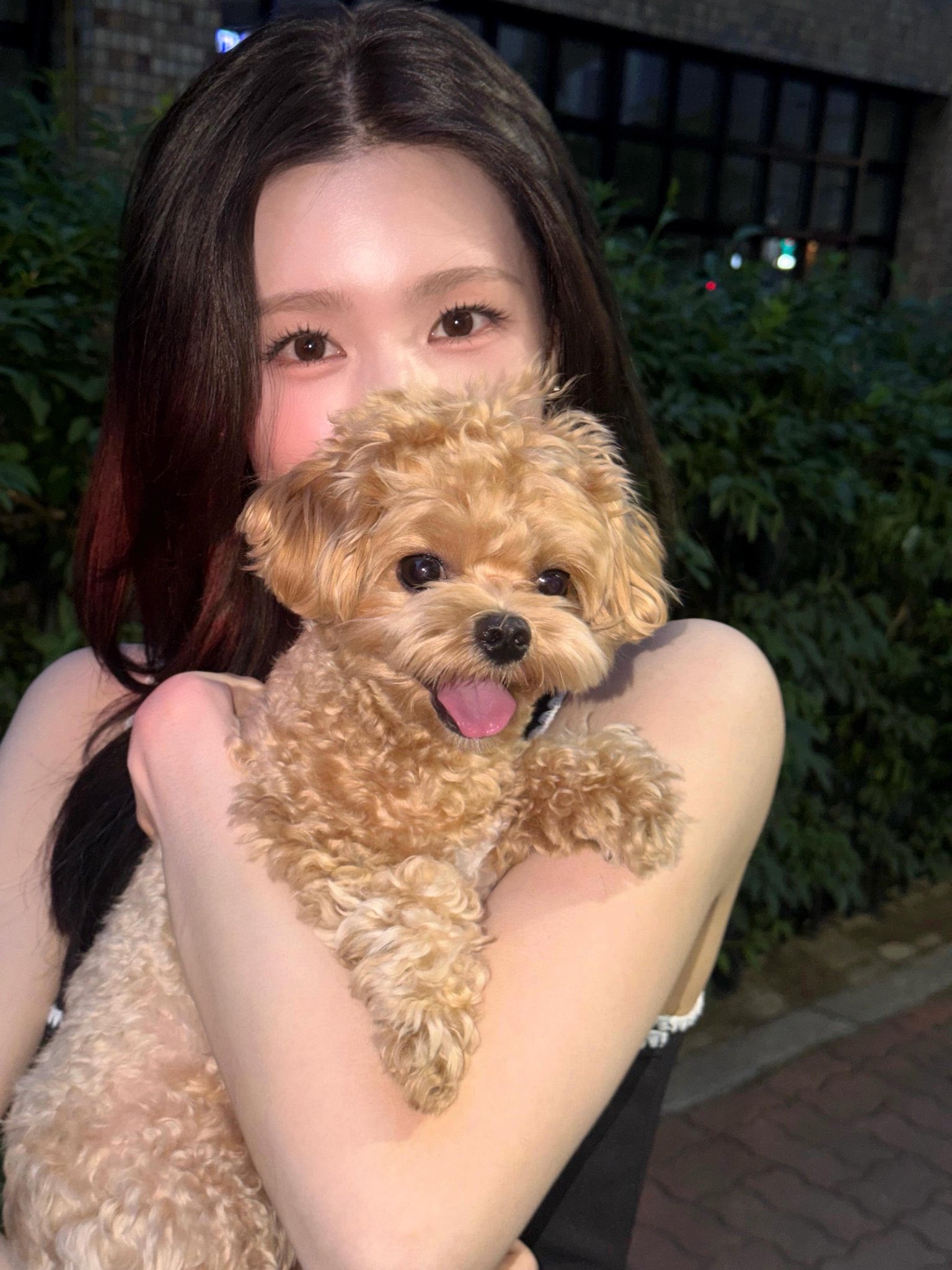 [잡담] 미연 흑발 왔다 | 인스티즈