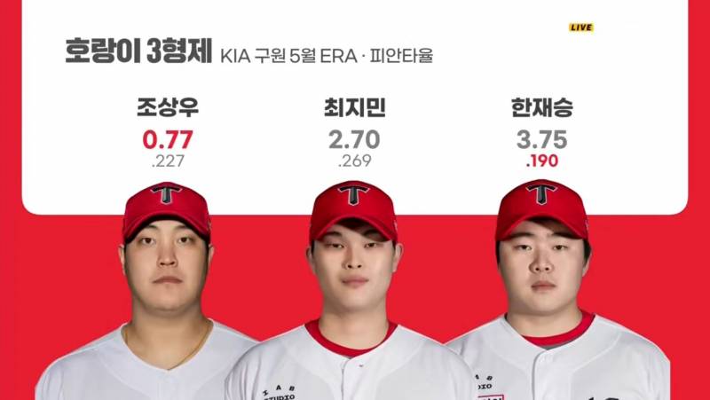 [잡담] 돼지가 나쁜것도 아니고 왜 돼지라고 못부르는건데 | 인스티즈