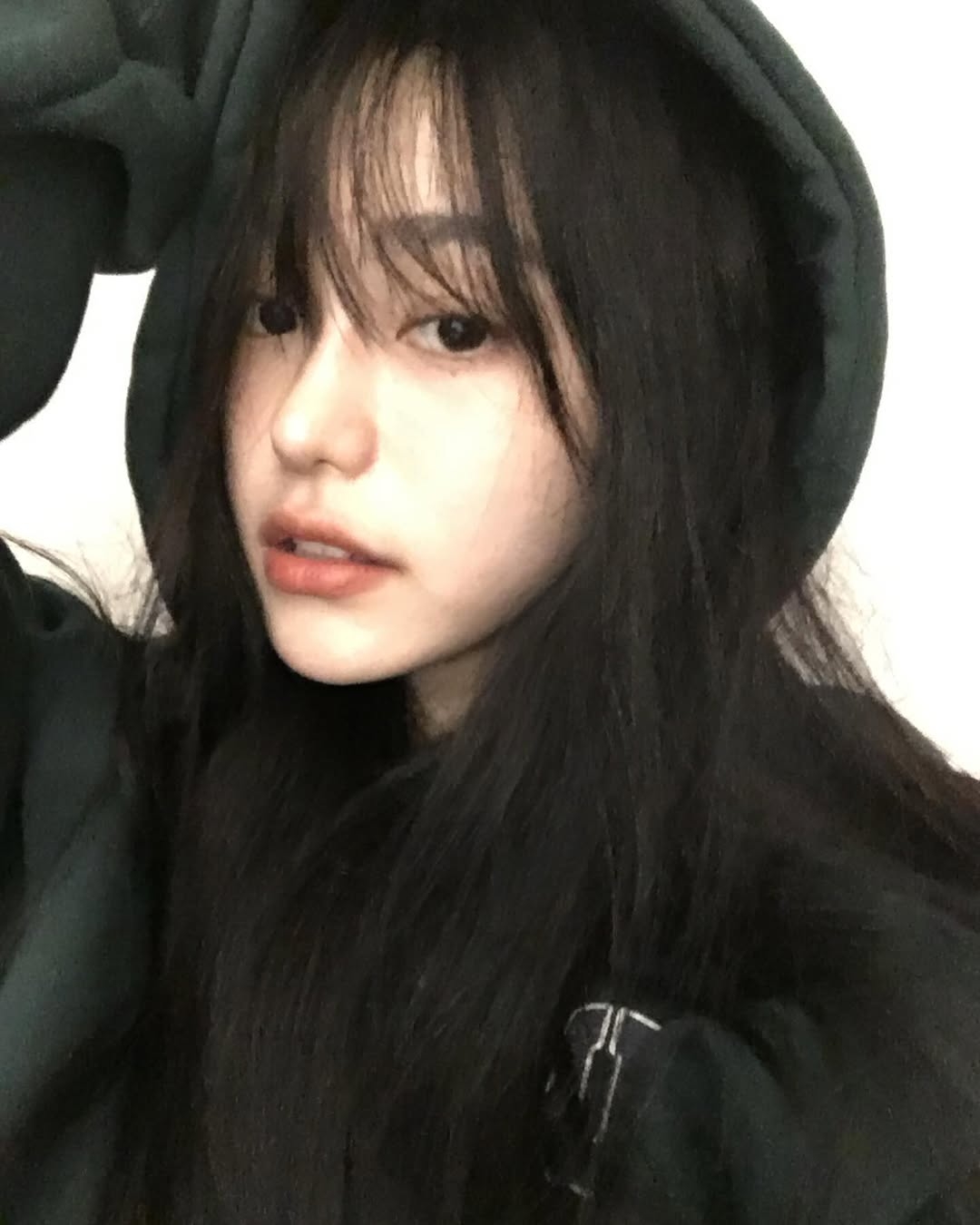 [잡담] 동물상으로 치면 무슨 얼굴상 같음? | 인스티즈