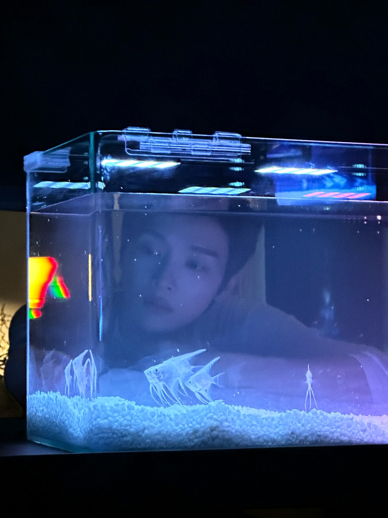 [잡담] 너가 로미오와 줄리엣에서 로미오와 줄리엣을 다 맡는다는 그 사람이구나 | 인스티즈