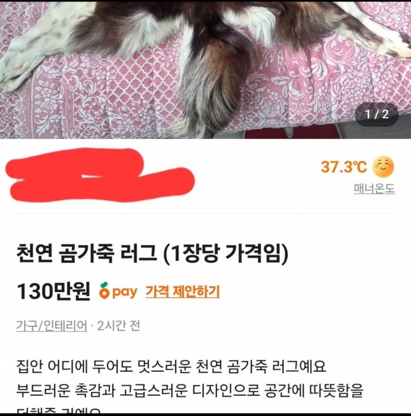 [잡담] 미친 당근마켓에 동물가죽 올라왔는데 ㅎㅇㅈㅇ | 인스티즈