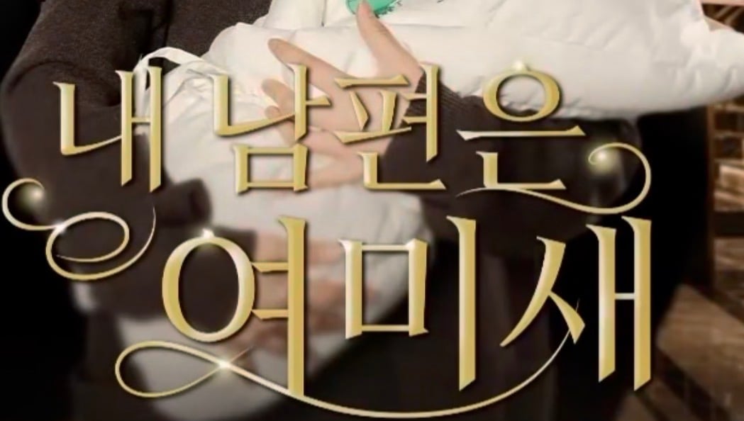[잡담] 아 숏폼드 제목 요즘 왜케 웃기냐 ㅋㅋㅋㅋㅋㅋㅋㅋ | 인스티즈