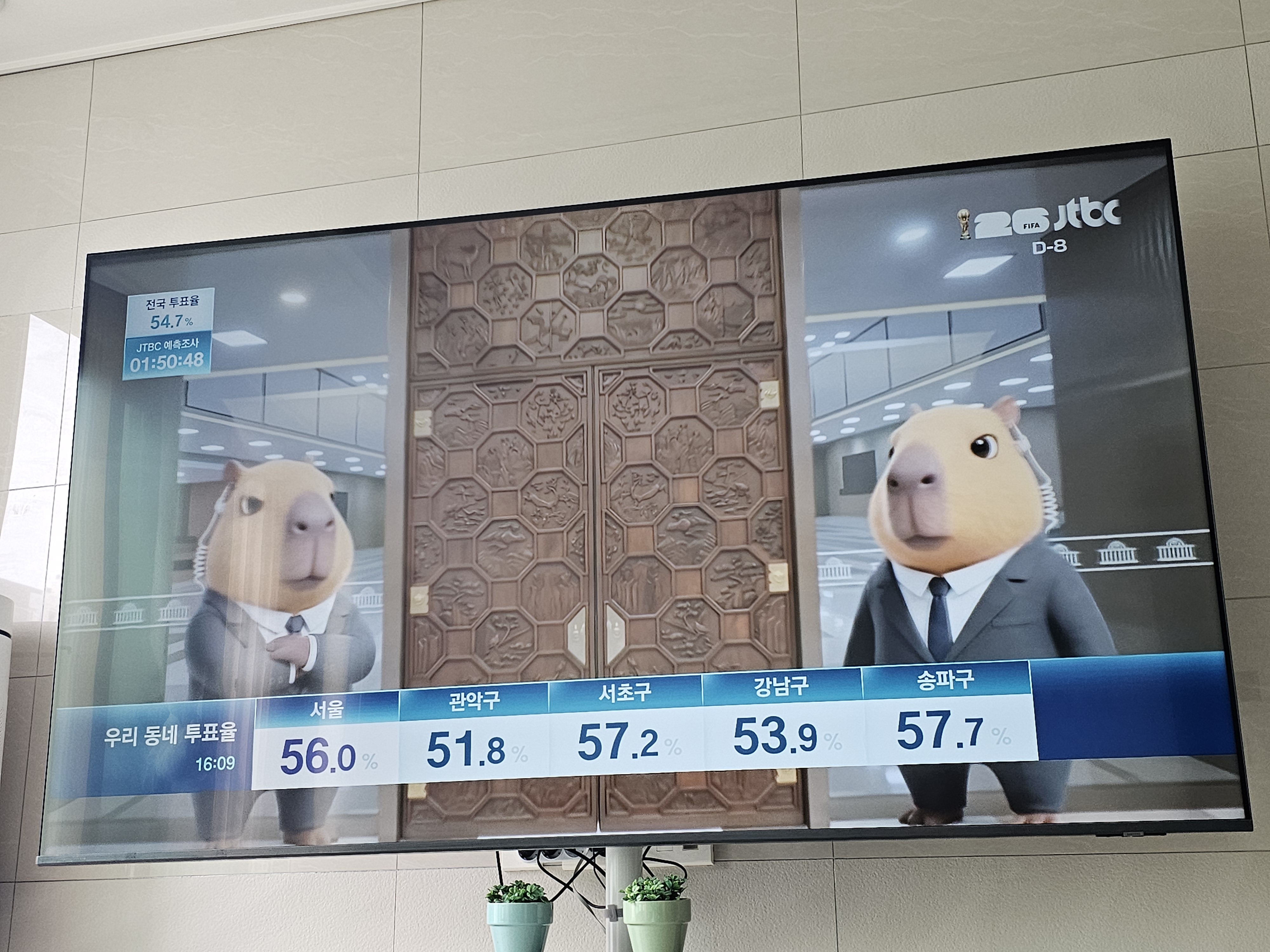 [잡담] 선거방송 카피바라 졸귀네ㅋㅋㅋㅋㅋㅋ | 인스티즈