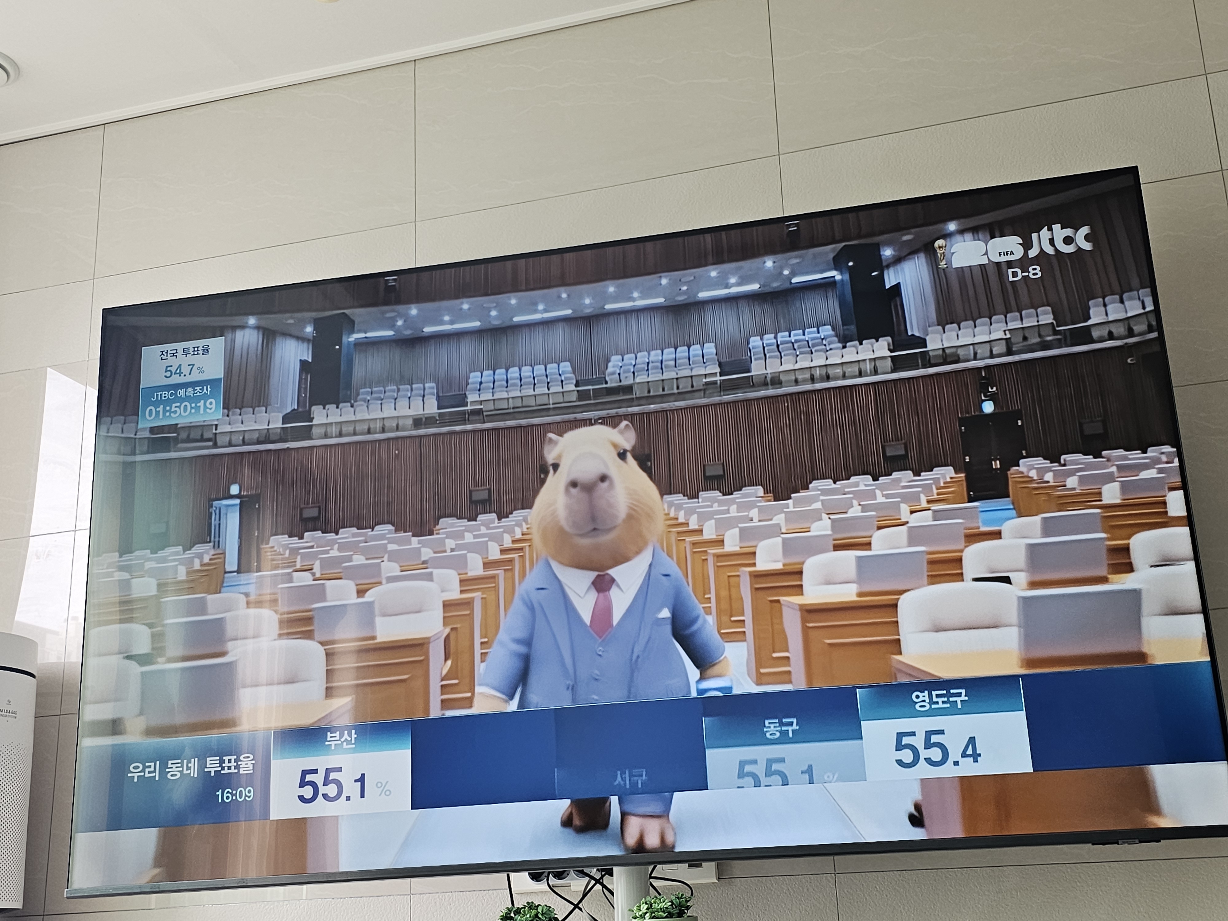 [잡담] 선거방송 카피바라 졸귀네ㅋㅋㅋㅋㅋㅋ | 인스티즈