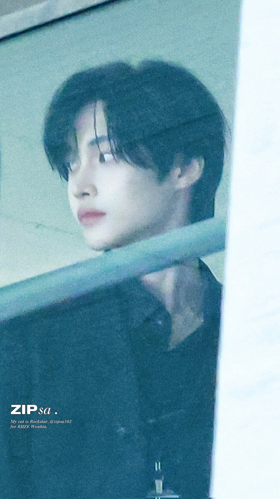 [잡담] 집사님이 찍은 원빈이봐봐 하와수라고? | 인스티즈