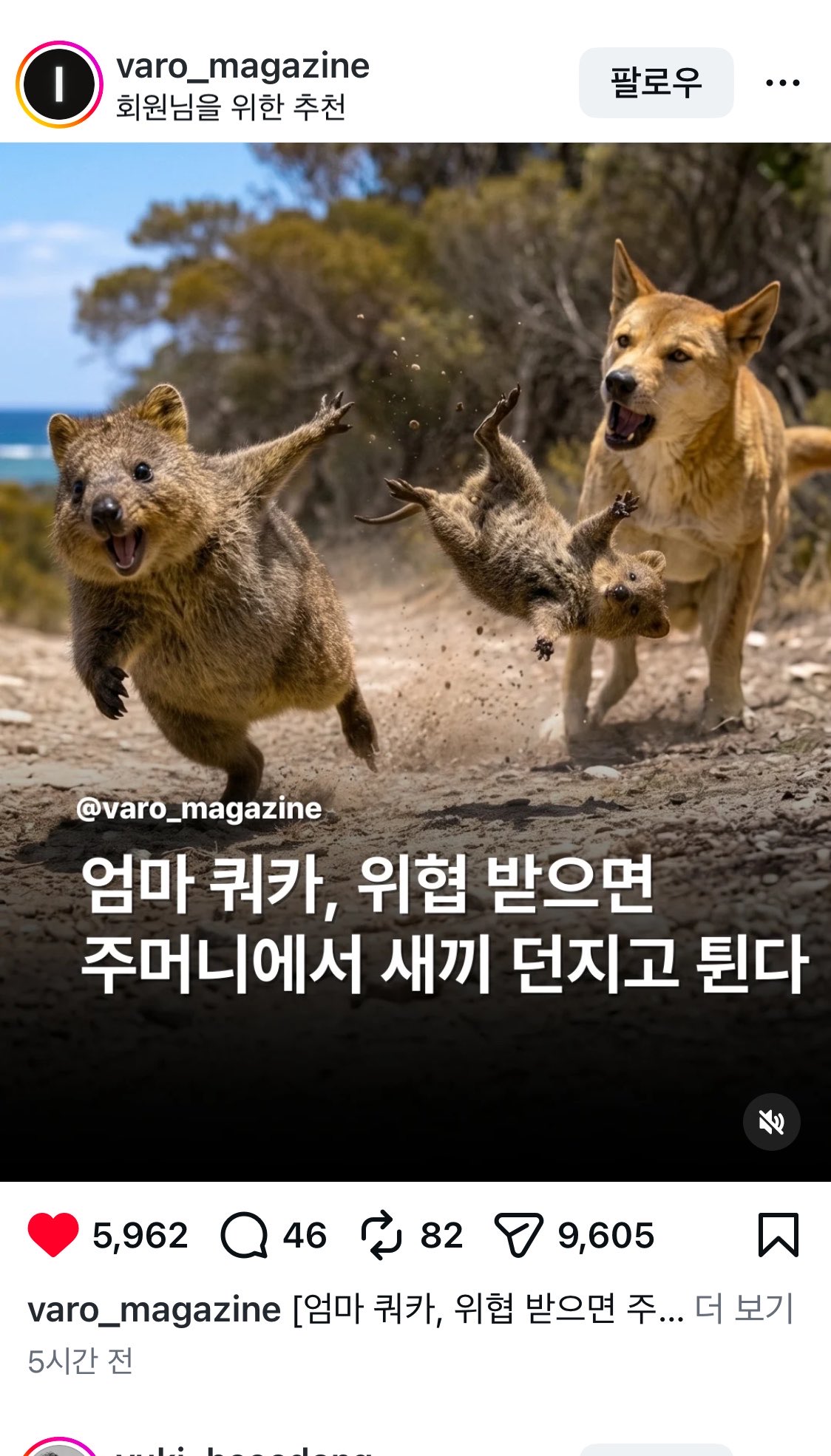 [잡담] 얼굴이랑 제일 따로 노는 동물 | 인스티즈