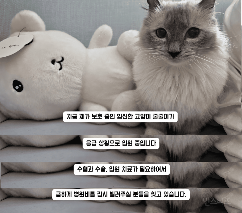 고등래퍼 민티 최신 근황.....jpg | 인스티즈