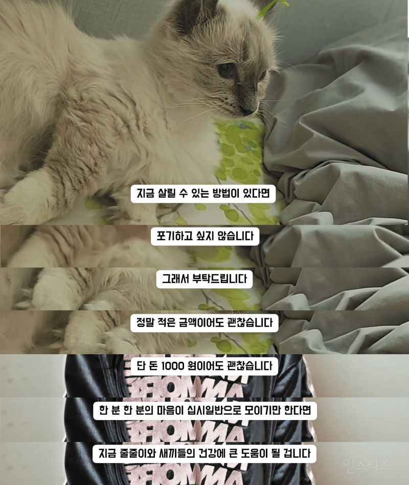 고등래퍼 민티 최신 근황.....jpg | 인스티즈