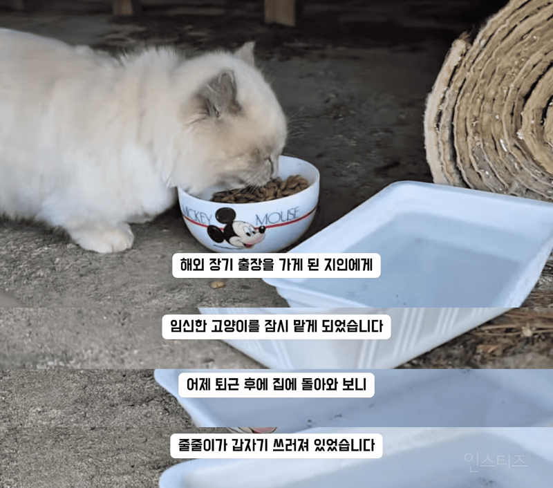 고등래퍼 민티 최신 근황.....jpg | 인스티즈