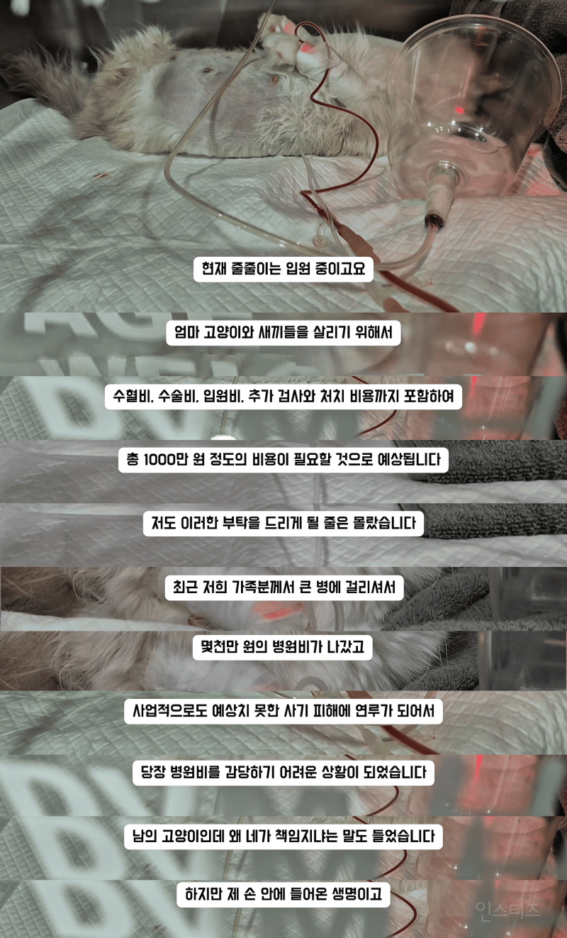 고등래퍼 민티 최신 근황.....jpg | 인스티즈