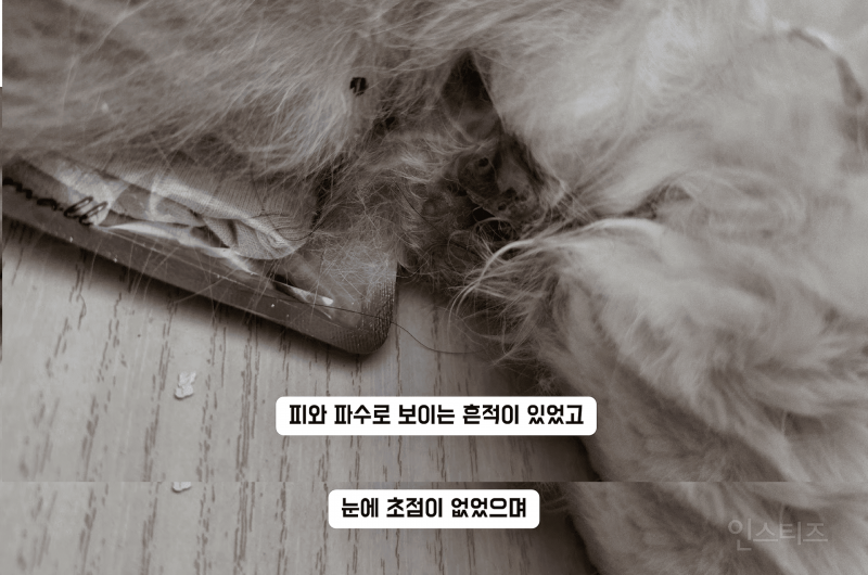 고등래퍼 민티 최신 근황.....jpg | 인스티즈