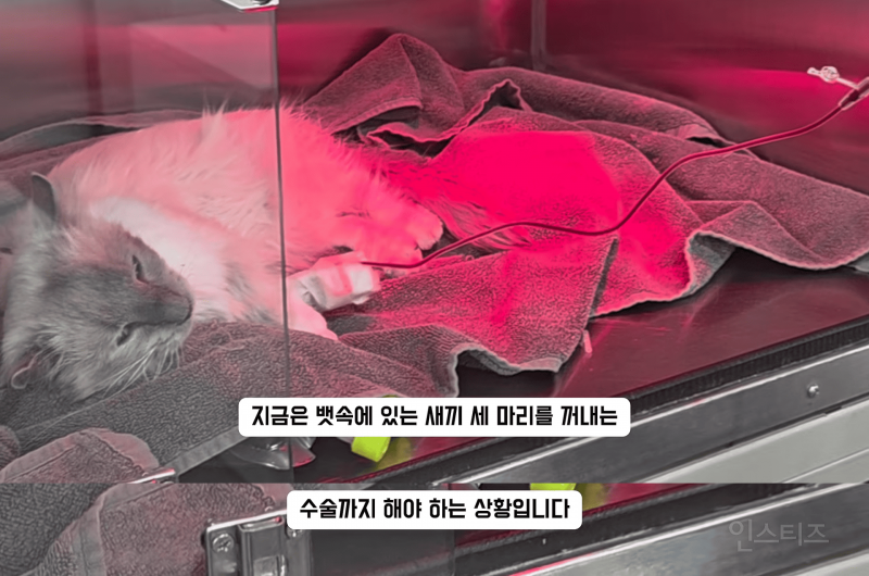 고등래퍼 민티 최신 근황.....jpg | 인스티즈