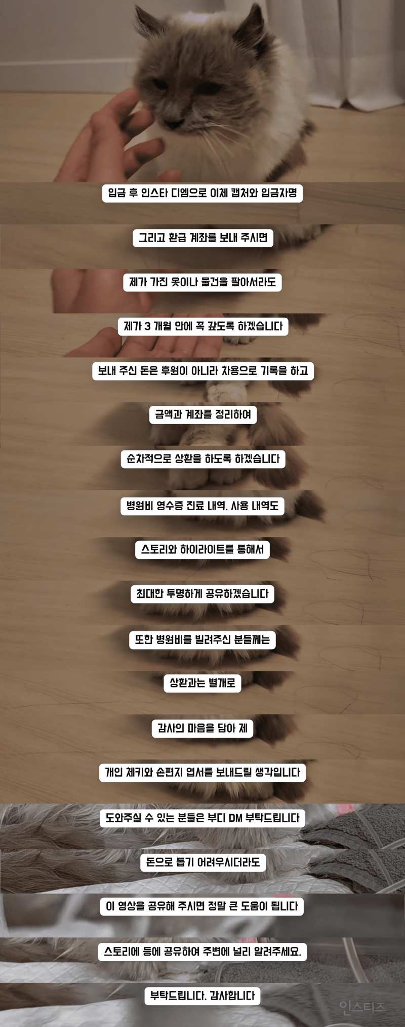 고등래퍼 민티 최신 근황.....jpg | 인스티즈