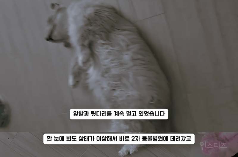 고등래퍼 민티 최신 근황.....jpg | 인스티즈