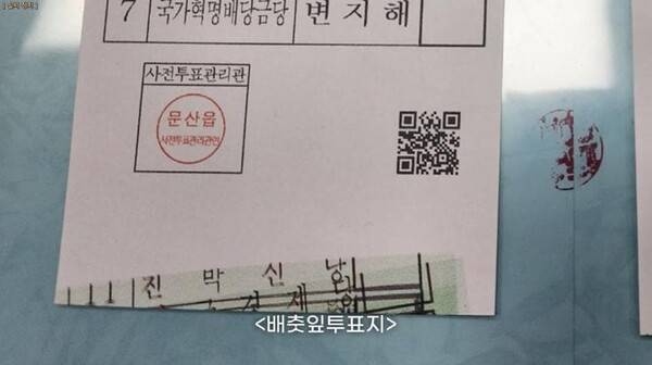 [잡담] 국민의 기본권인 투표권이 정치 팬덤 싸움이야? | 인스티즈