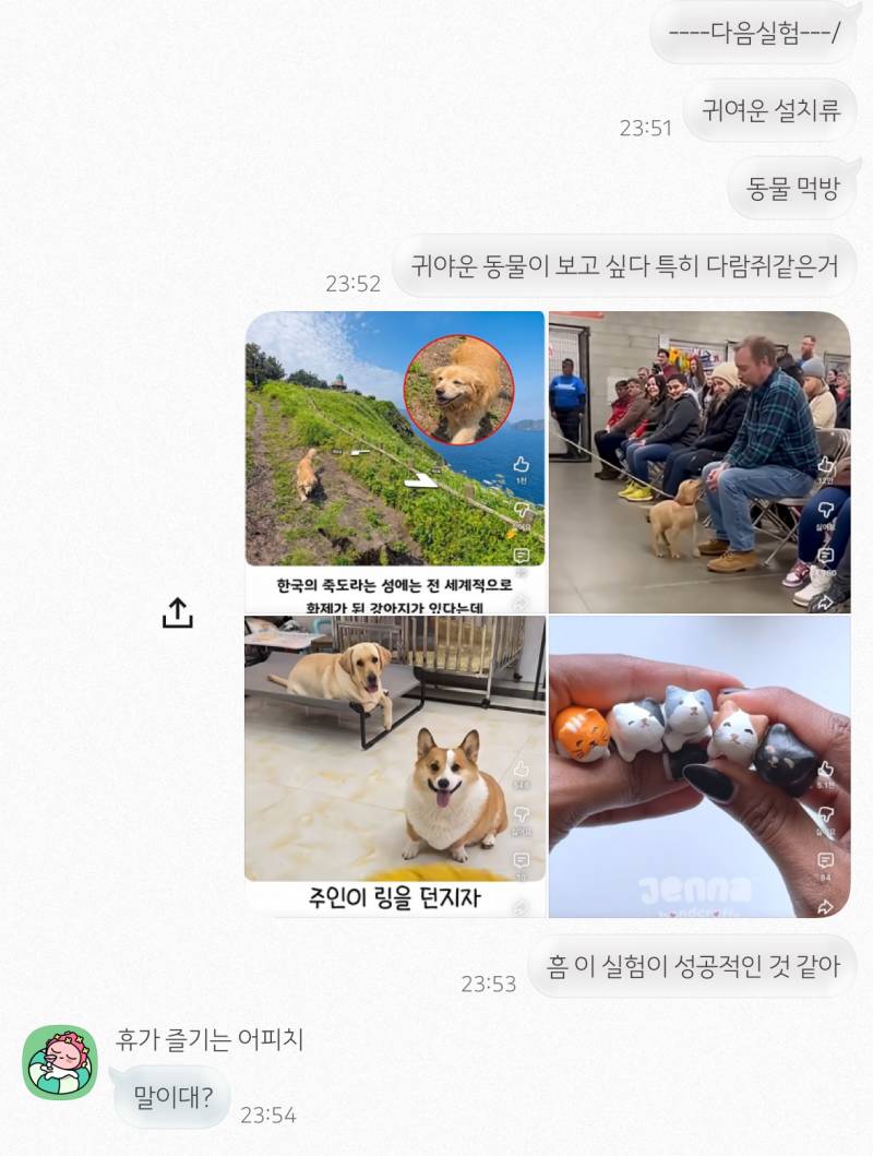 [잡담] 알고리즘 테스트 했는데 이거 우연이야? 너네더해봐 | 인스티즈