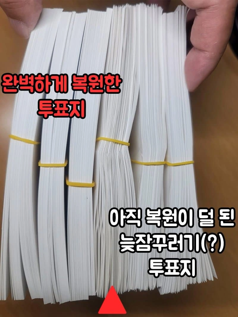 [잡담] 국민의 기본권인 투표권이 정치 팬덤 싸움이야? | 인스티즈