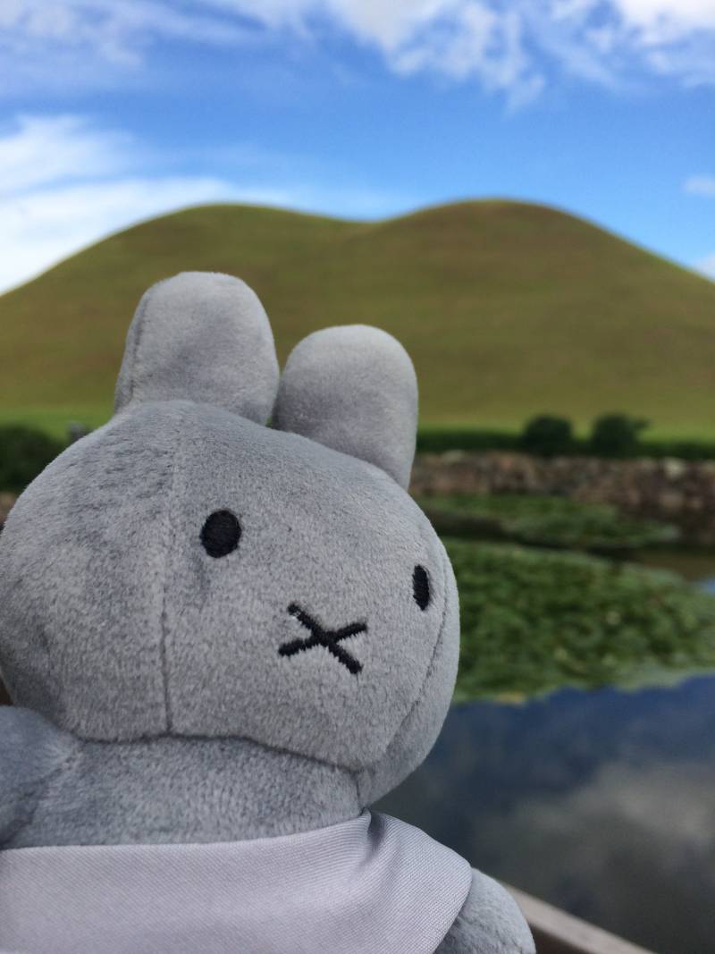 [잡담] 경주 또 가고 싶다......... | 인스티즈