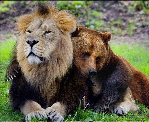 [잡담] 👯‍♀️🦅🐶🚀🦁🦕🔮🌺🐯🌹 | 인스티즈