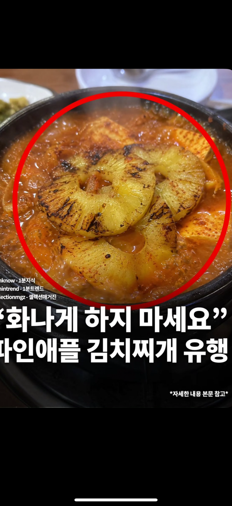 [잡담] 파인애플김치찌개 은근 맛있을 것 같은데 ㅋㅋㅋㅋㅋ | 인스티즈