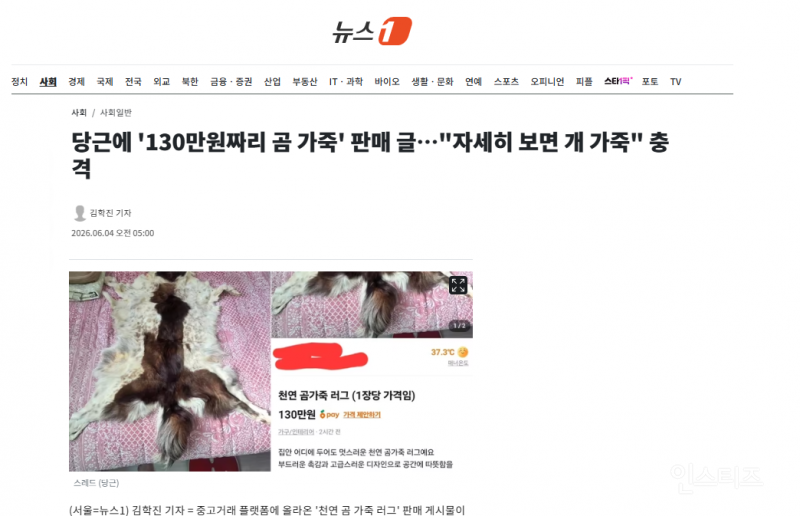 당근에 '130만원짜리 곰 가죽' 판매 글…"자세히 보면 개 가죽" 충격 | 인스티즈