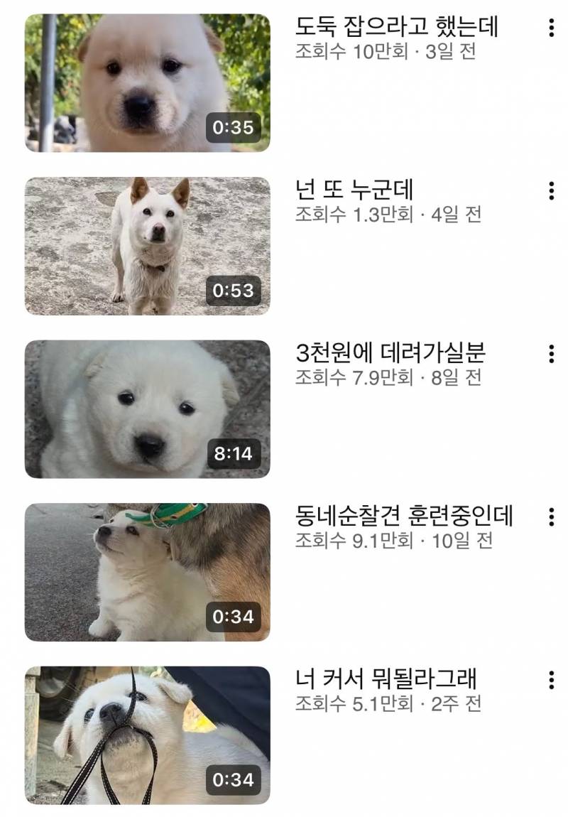 [잡담] ㅈㅉ 기여워ㅠㅠ 어캐 | 인스티즈