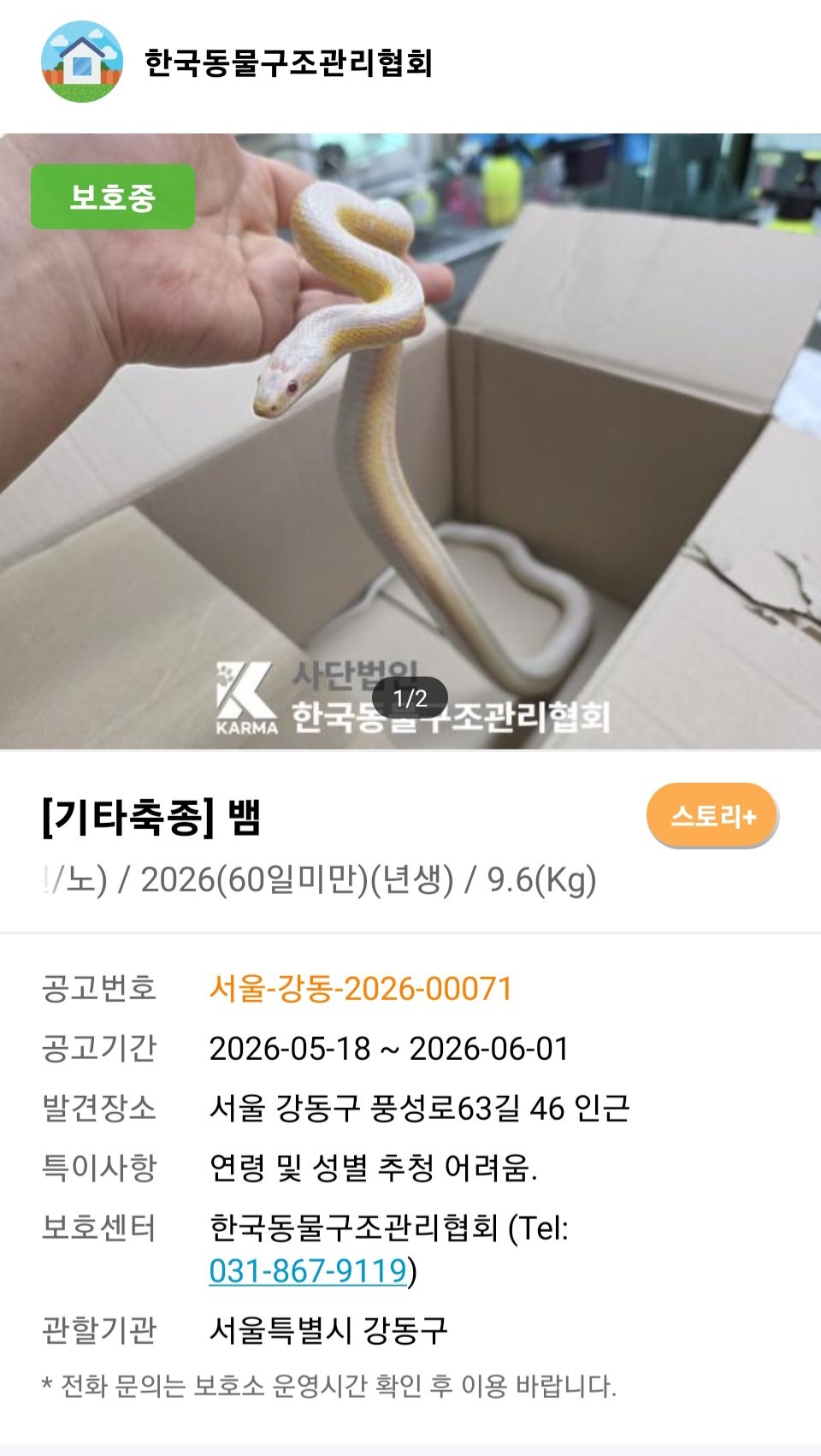 [잡담] 헐 이 유기견 사이트 알고보니 뱀 같은 파충류도 있네? 조류도 이써! | 인스티즈
