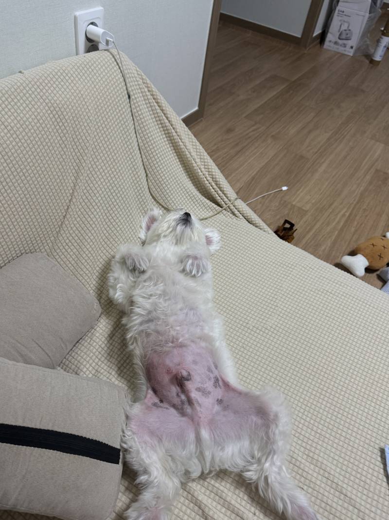 [잡담] 저기 너무 거하게 주무시는데... | 인스티즈