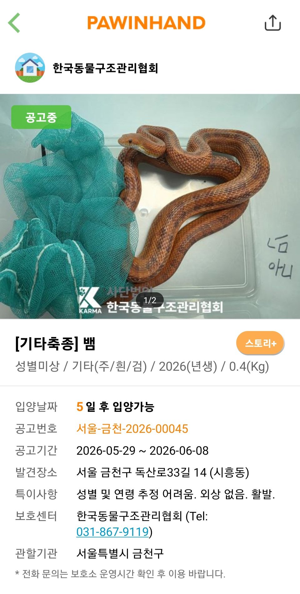 [잡담] 헐 이 유기견 사이트 알고보니 뱀 같은 파충류도 있네? 조류도 이써! | 인스티즈