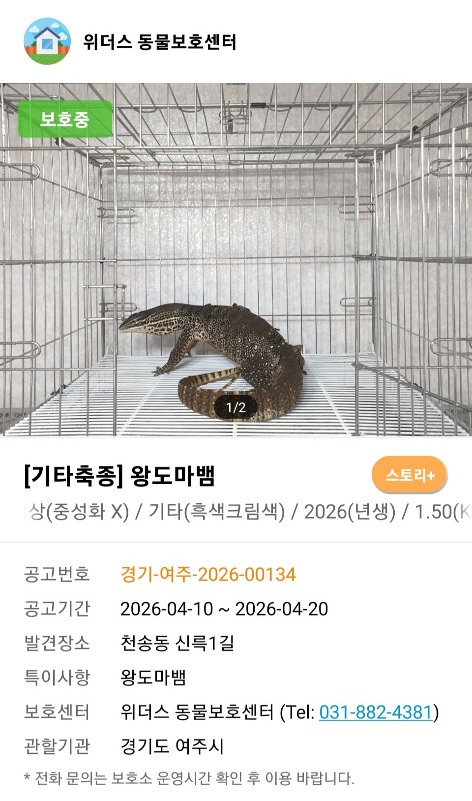 [잡담] 헐 이 유기견 사이트 알고보니 뱀 같은 파충류도 있네? 조류도 이써! | 인스티즈